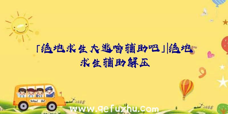 「绝地求生大逃啥辅助吧」|绝地求生辅助解压